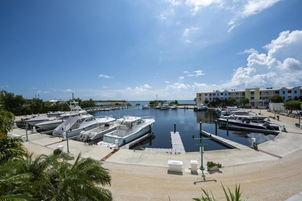 Licensed Mgr - 3/3.5 Modern Villa - Key Largo'S Premier Oceanfront Resort And Marina! المظهر الخارجي الصورة